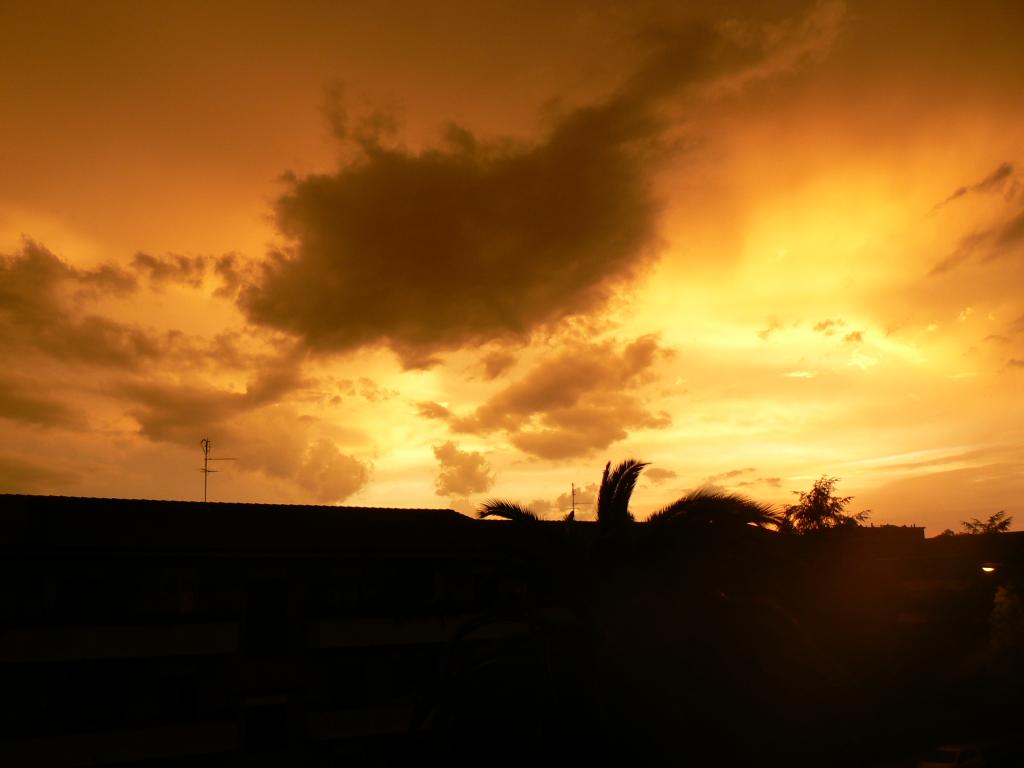 P1000971.JPG